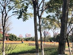 -厦门园林博览苑