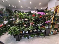 -怡花宜木鲜花店(朝阳路店)