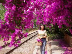 -云南师范大学(一二一西南联大校区)