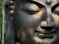 -杭州植物园
