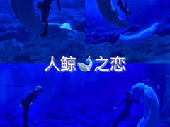-郑州海洋馆