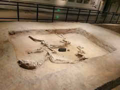 -洛阳周王城天子驾六博物馆