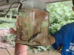 -重庆彩云湖湿地公园