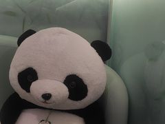 -眉州东坡·熊猫主题餐厅(枫蓝店)