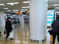 -郑州新郑国际机场-T2航站楼