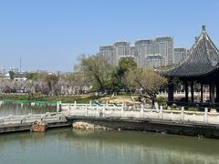 -八大山人梅湖景区
