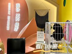 -青叶202都市餐厅(迪诺水镇店)