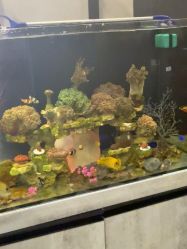 -老肖男士理发店