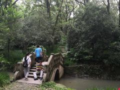-灵谷景区