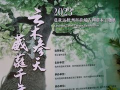 -云栖竹径