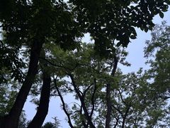 -方庄体育公园