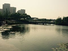 iphone_upload_pic-新江湾城公园