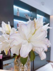 -薇薇安花系SPA