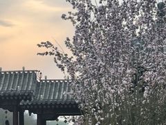 -元大都城垣遗址公园