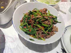 -壹盏灯(惠农店)
