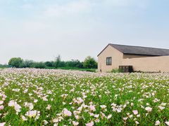 -良渚古城遗址公园