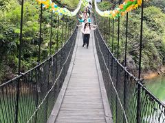-泰康山生态旅游度假区