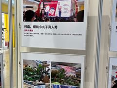 -永旺梦乐城国际商城(北清路店)