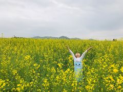 -光明小镇欢乐田园