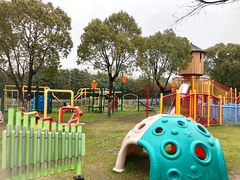 -上海海湾国家森林公园