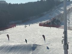 -东北亚滑雪场
