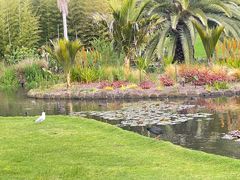 -墨尔本皇家植物园