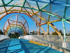 -春花秋色城市公园