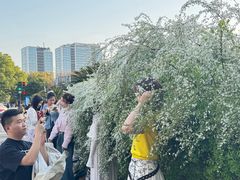 -杭州城北体育公园