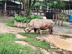 -深圳野生动物园