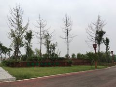 -眉山湿地公园(东坡区)