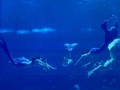 -南昌融创海世界