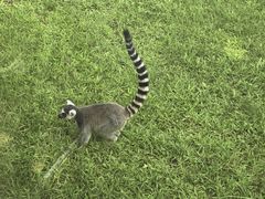 -秦皇岛野生动物园