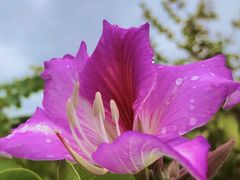 -白石龙音乐公园