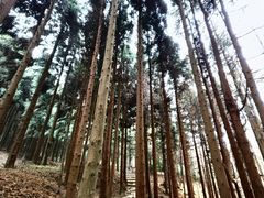 -山王坪喀斯特国家生态公园