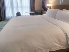 -广州珠江新城维多利酒店
