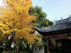 -汇龙潭