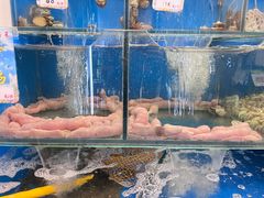 -小郭私房菜·海肠捞饭店(学士街店)