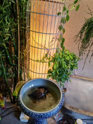 -威思丽高温瑜伽会馆