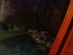 android_upload_pic-永兴餐厅(复兴中路店)