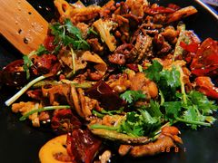 -食乐佳麻辣香锅(森林摩尔商业街区店)