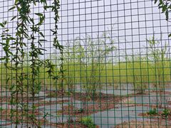 -新江湾城公园