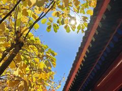 -红螺寺