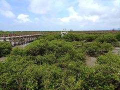 -北海金海湾红树林生态旅游区