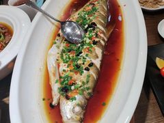 -洞庭渔人(沙湾店)