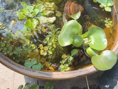 -川匠·睡眠采耳·SPA(九眼桥店)