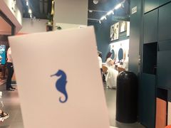 -海马体照相馆(佛山岭南站店)