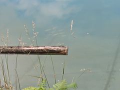 -武陵山森林公园