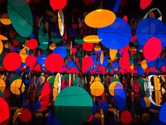 -旧金山现代艺术博物馆