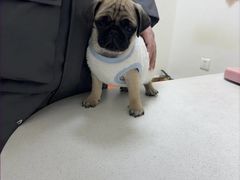 -美联众合24小时·皮肤科·外科·全科诊疗中心(华苑分院)