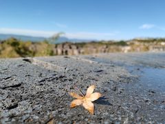 -七彩云南古滇温泉山庄